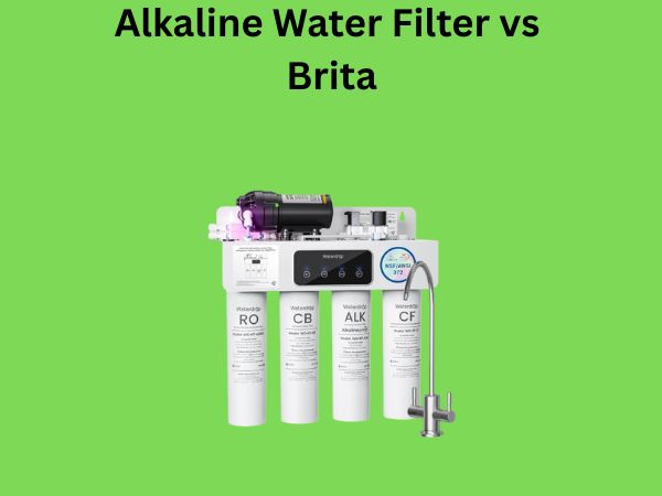 Alkaline Water Filter vs Brita