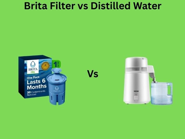 Brita Filter vs Distilled Water