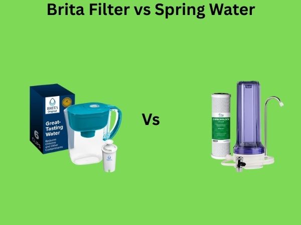 Brita Filter vs Spring Water