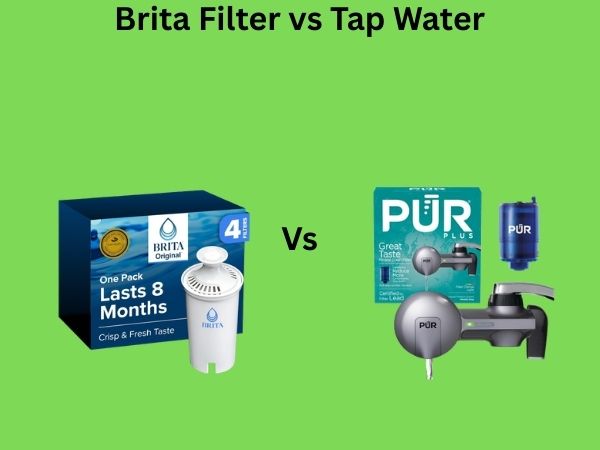 Brita Filter vs Tap Water