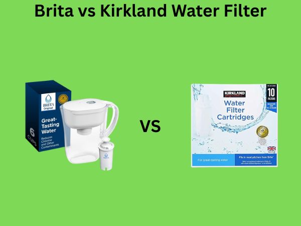 Brita vs Kirkland Water Filter