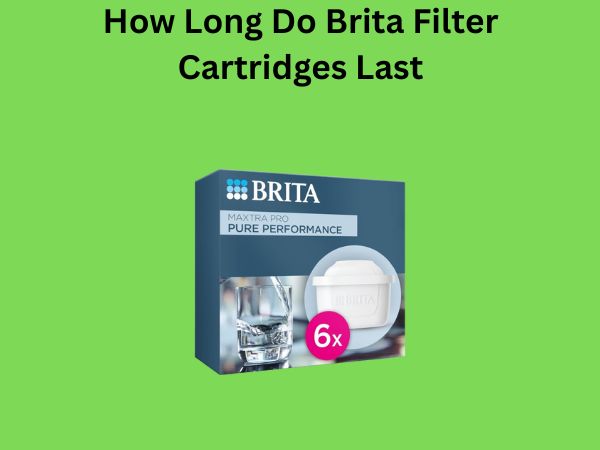 How Long Do Brita Filter Cartridges Last
