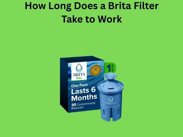 How Long Does a Brita Filter Take to Work