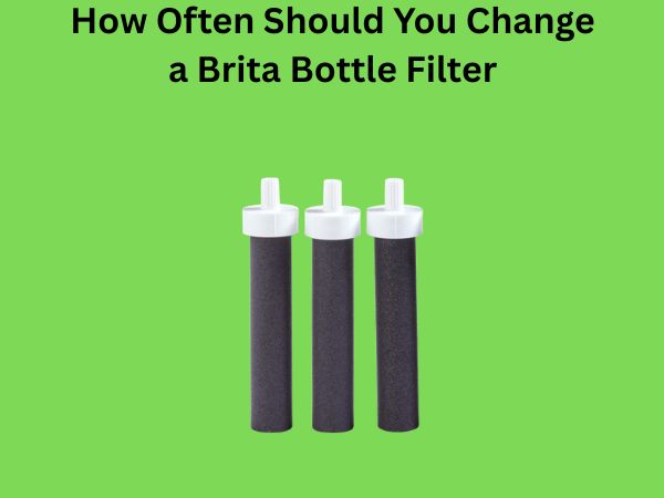 How Often Should You Change a Brita Bottle Filter