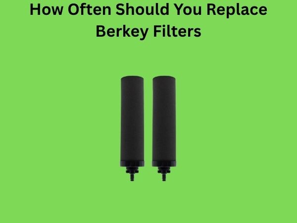 How Often Should You Replace Berkey Filters