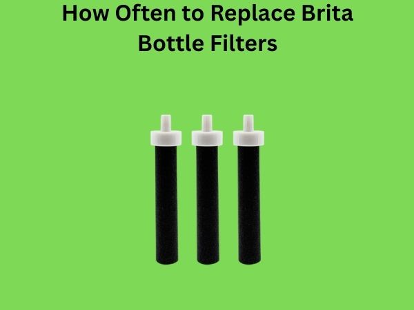 How Often to Replace Brita Bottle Filters