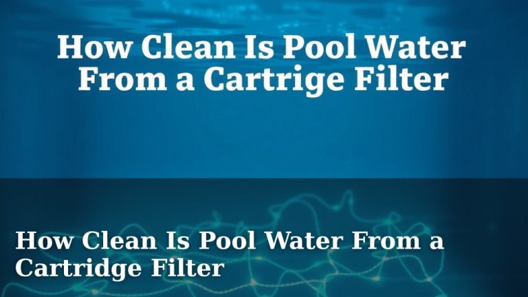 How Clean Is Pool Water From a Cartridge Filter